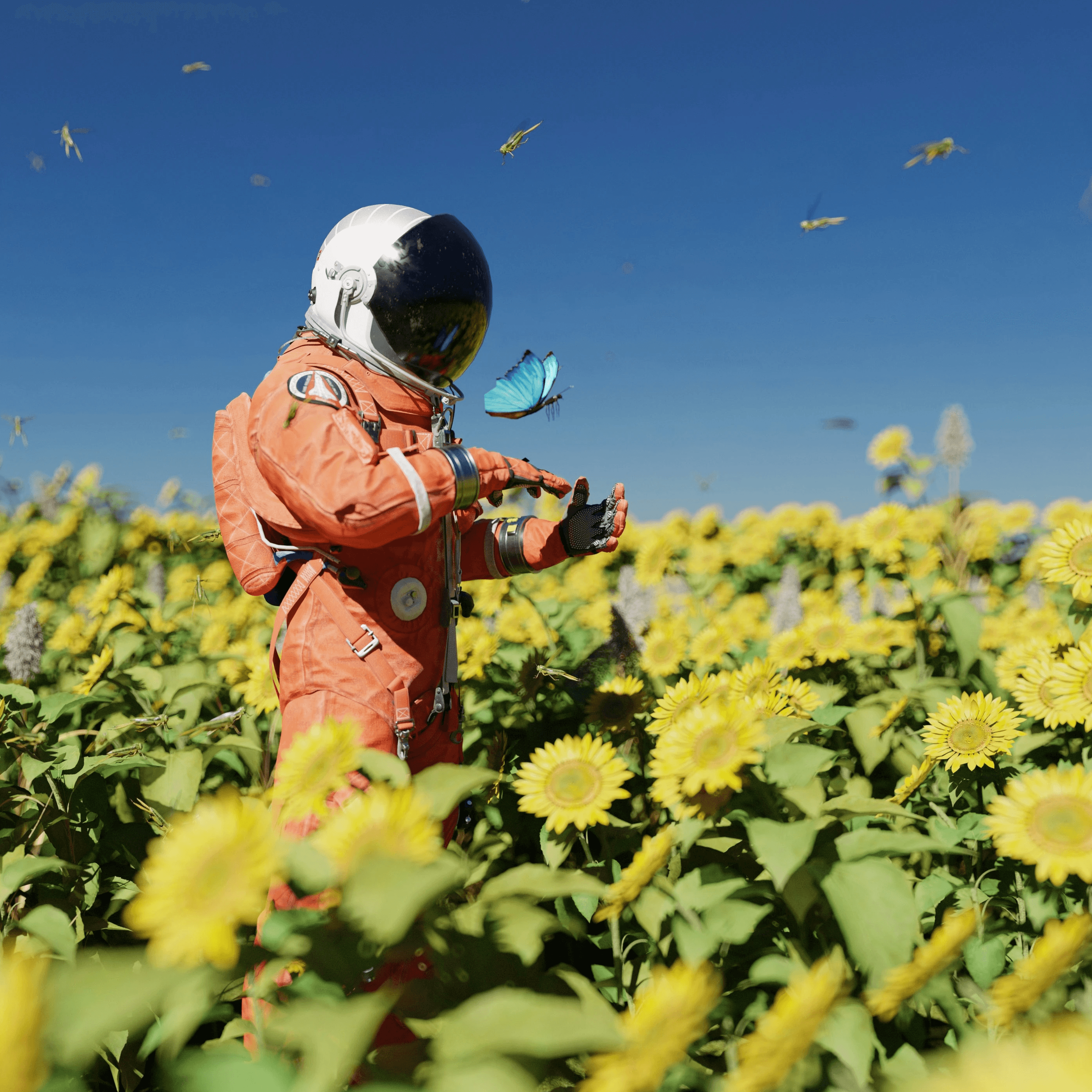 a young child in a field of sunflowers