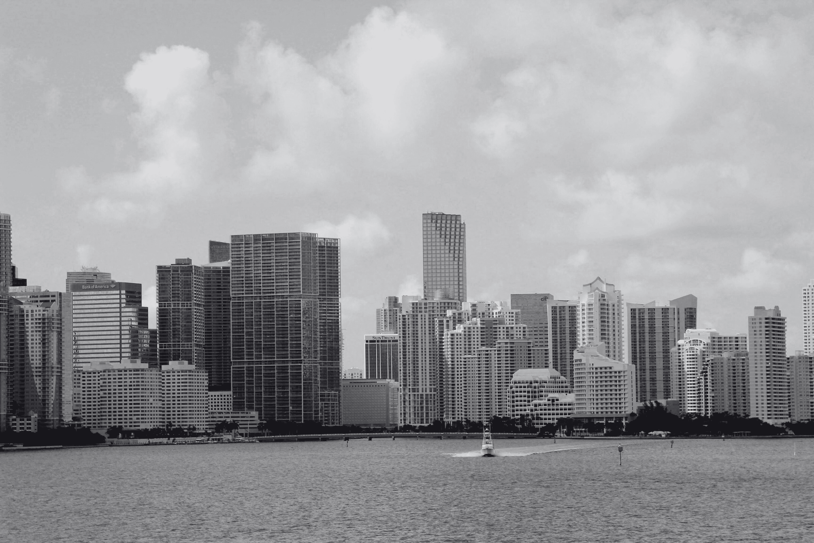 Miami Skyline