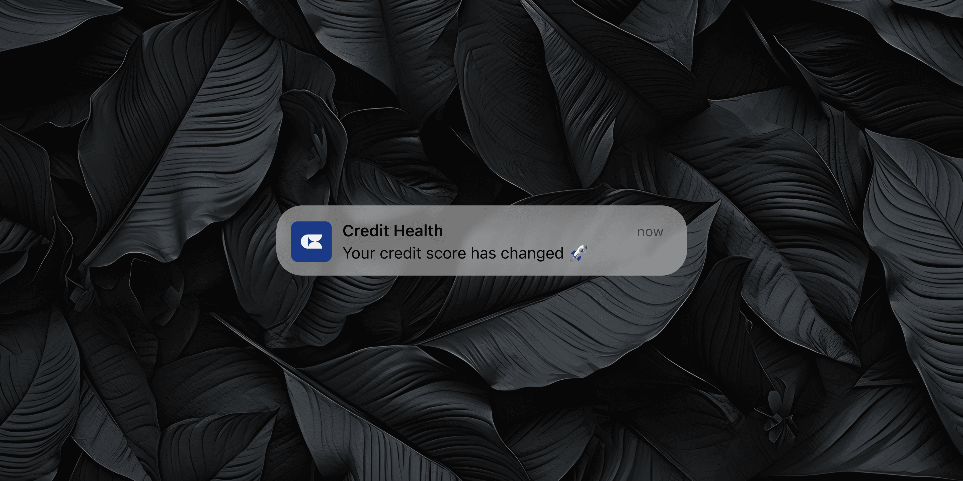 Credit Card Compare cover