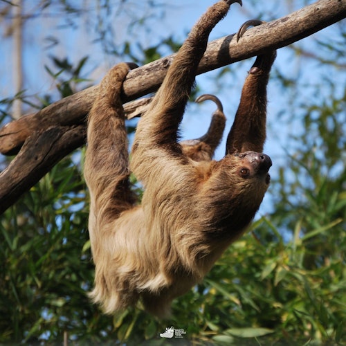 Parco Natura Viva: Ingresso com Data Aberta em Bussolengo