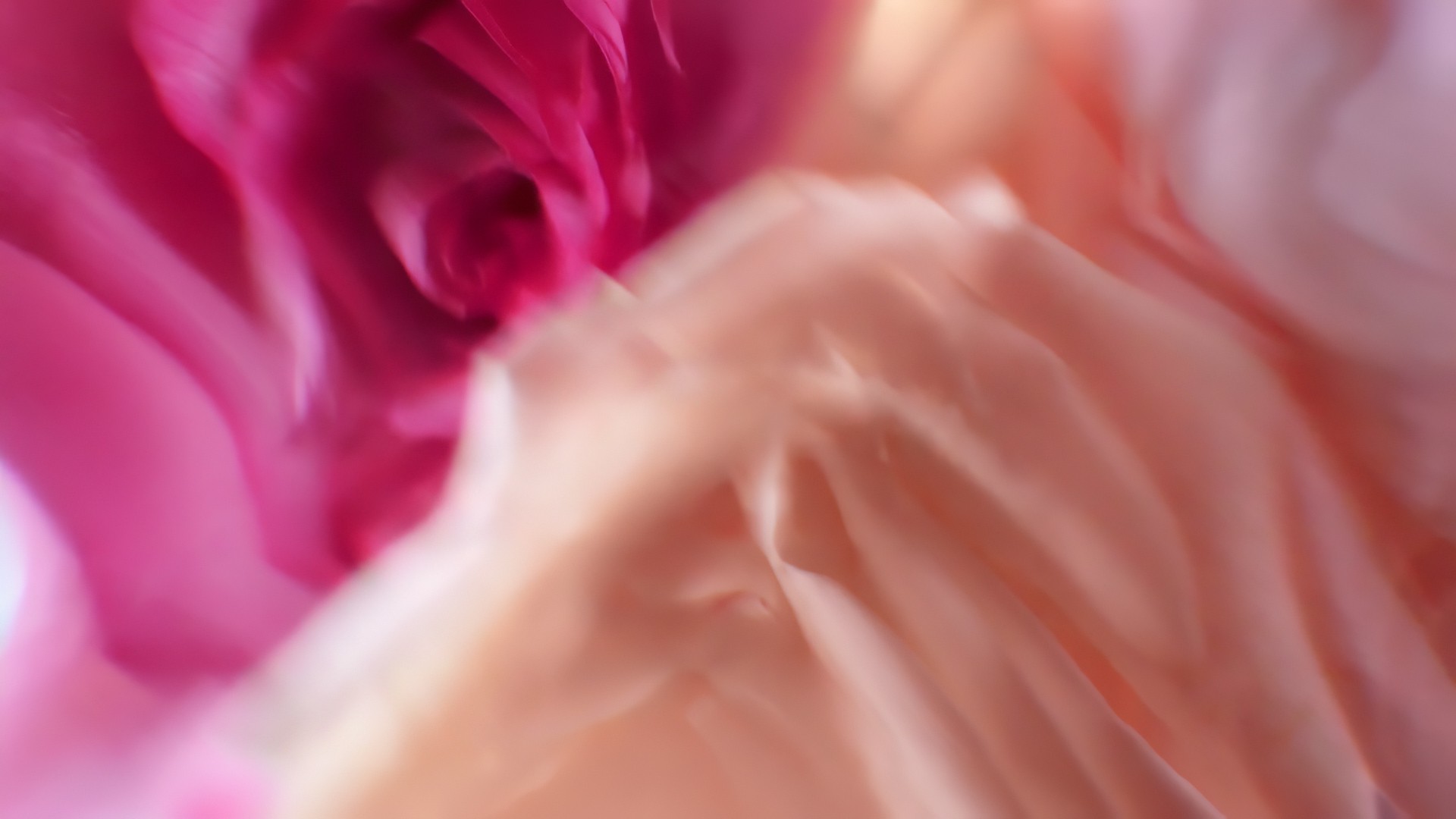 lancome