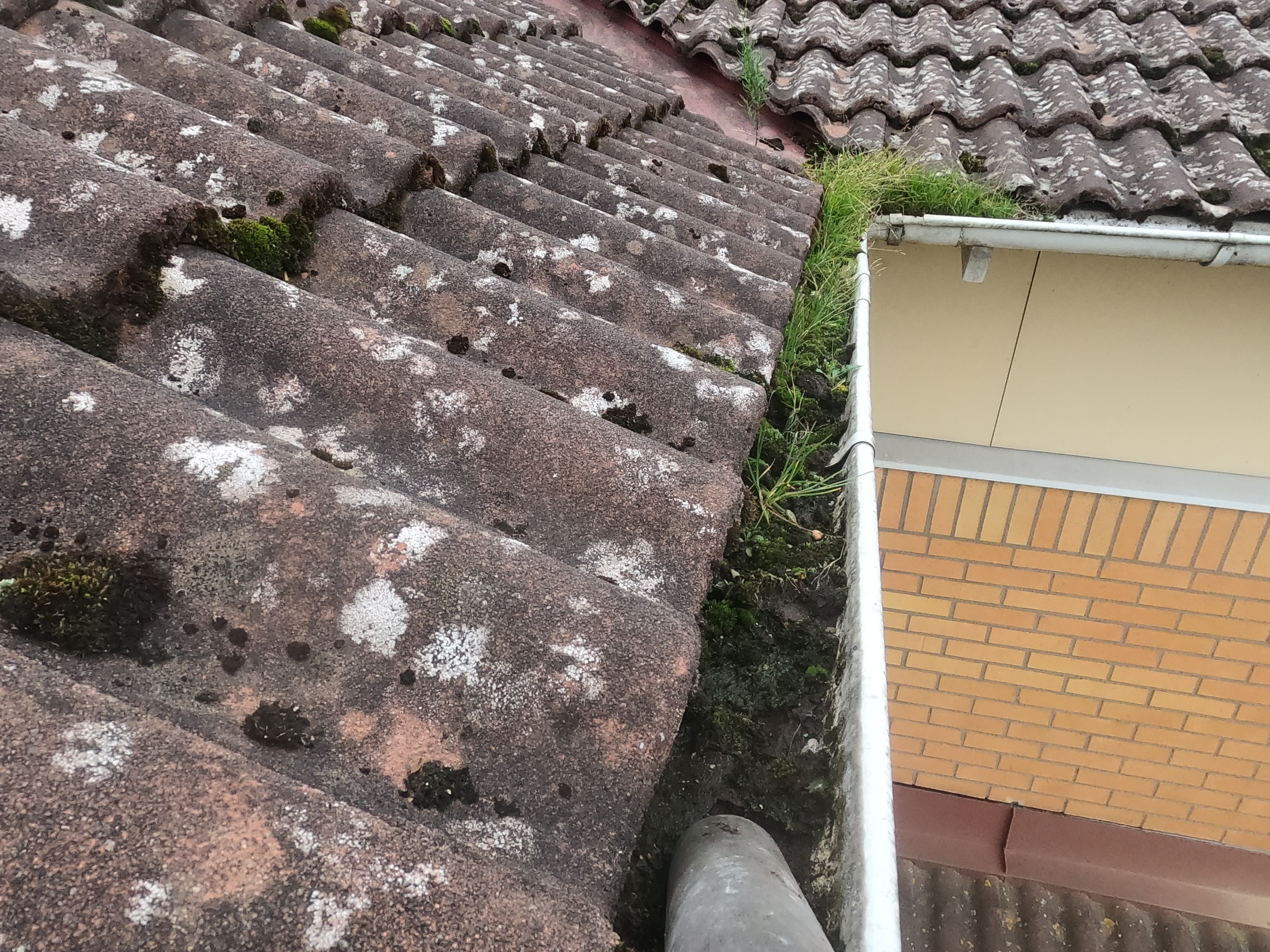 Aquafix, Rensa hängrännor i Stockholm