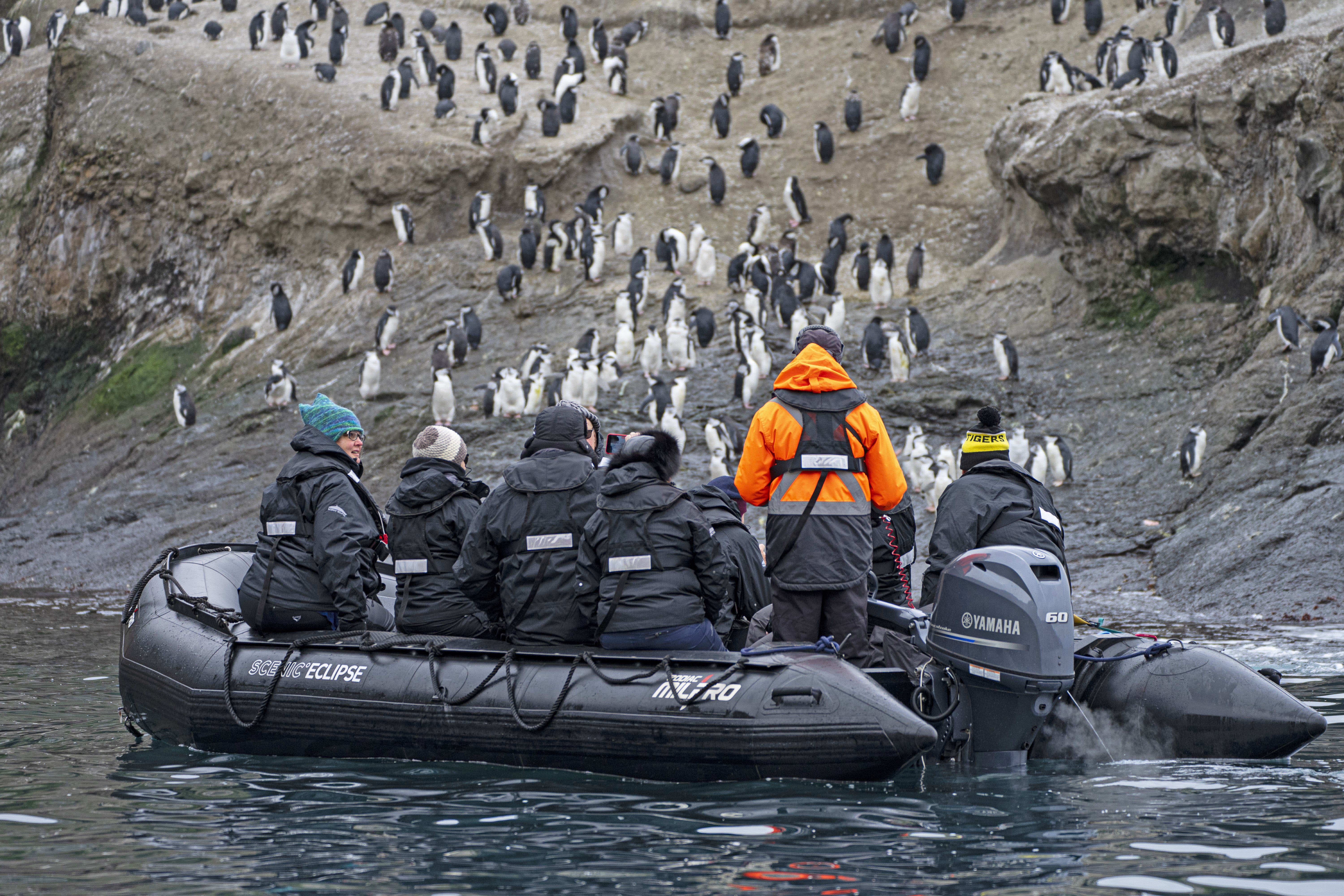 The photograph depicts a group of people in a small inflatable boat, likely a Zodiac, observing a large colony of penguins on a rocky shore. The boat is floating on calm water, and the people are dressed in heavy, dark-colored outdoor gear, suggesting cold weather conditions. One person is wearing a bright orange jacket, which stands out against the otherwise muted tones of the scene. The rocky terrain is covered with numerous penguins, some standing and others moving around. The overall mood of the image is adventurous and exploratory, capturing a moment of wildlife observation in a remote, natural setting.