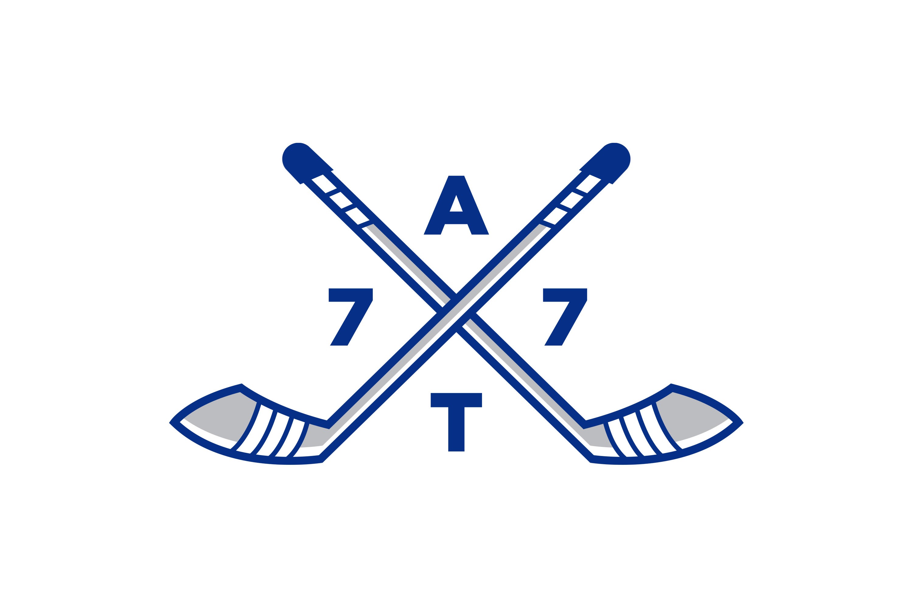 Etobicoke Dolphins alternate logo