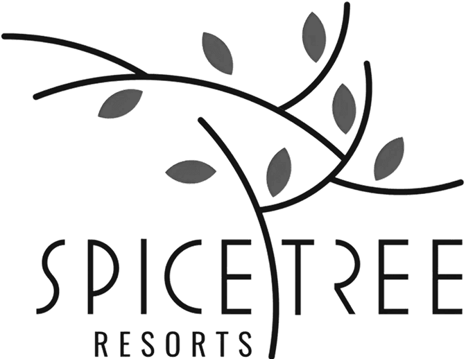 Logo-image (Background Removed)