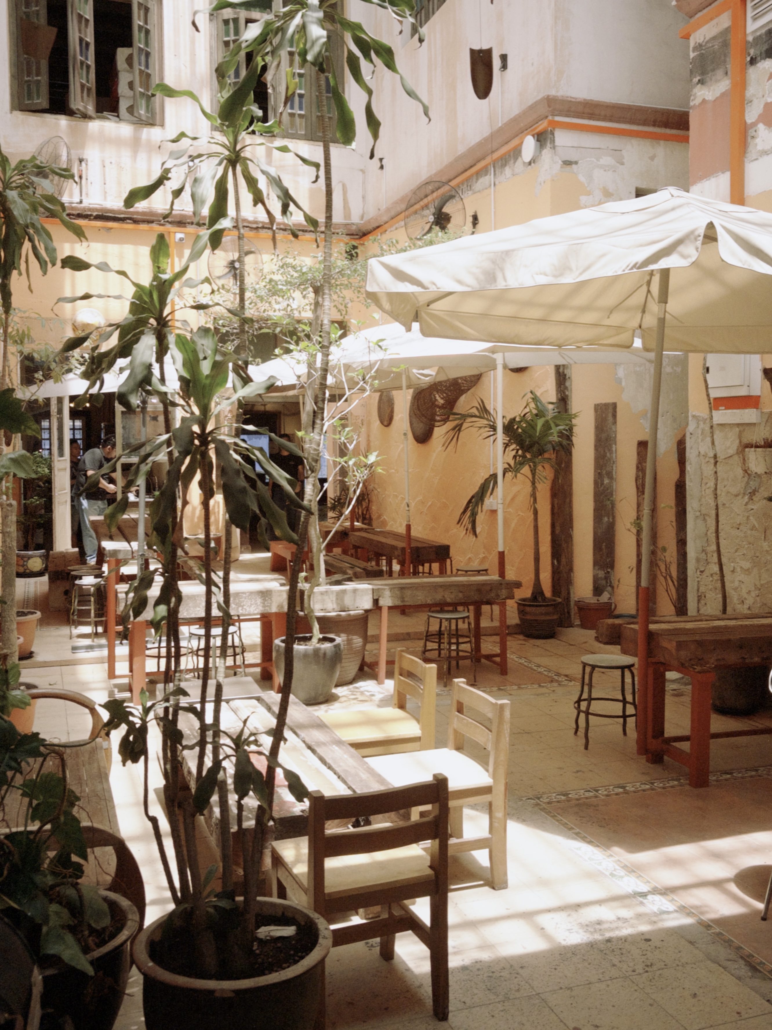 An inviting courtyard of Liku Likoo Lekiu featuring wooden tables and mismatched chairs under umbrellas, surrounded by lush plants and sunlight streaming through the space.