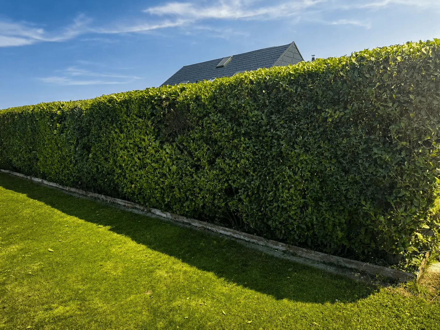 Gartenarbeit