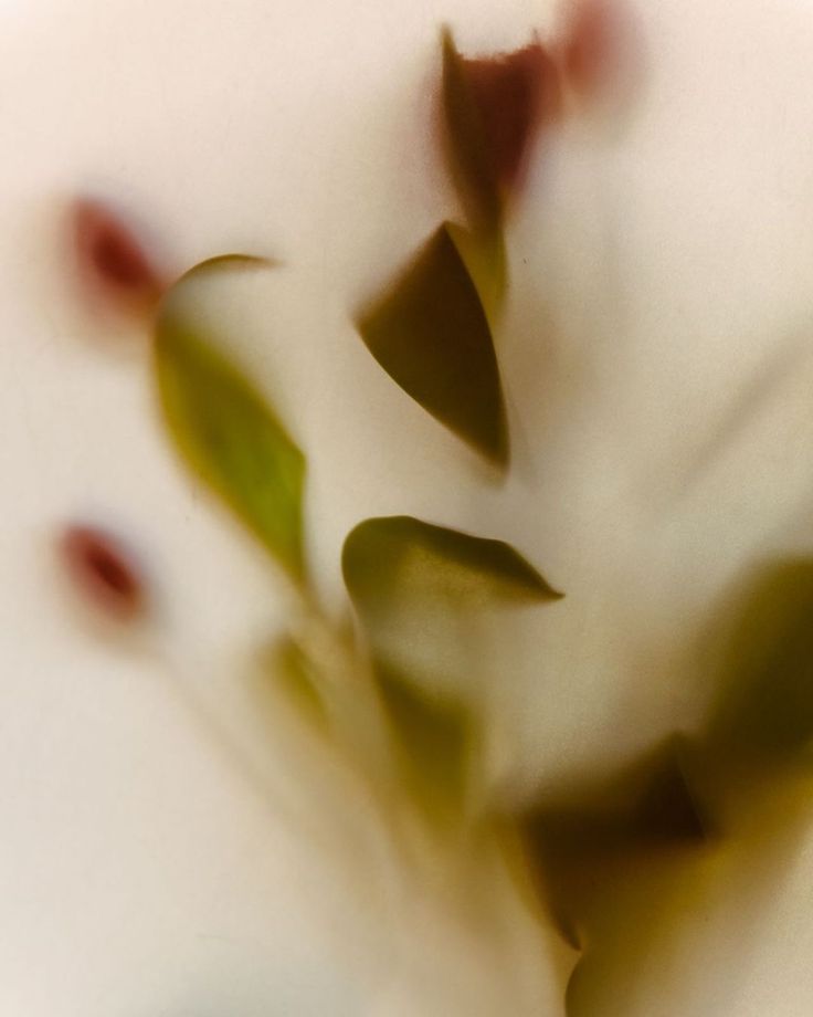 A young person with curly hair smiles at the camera while sitting in front of a laptop against a dark background.