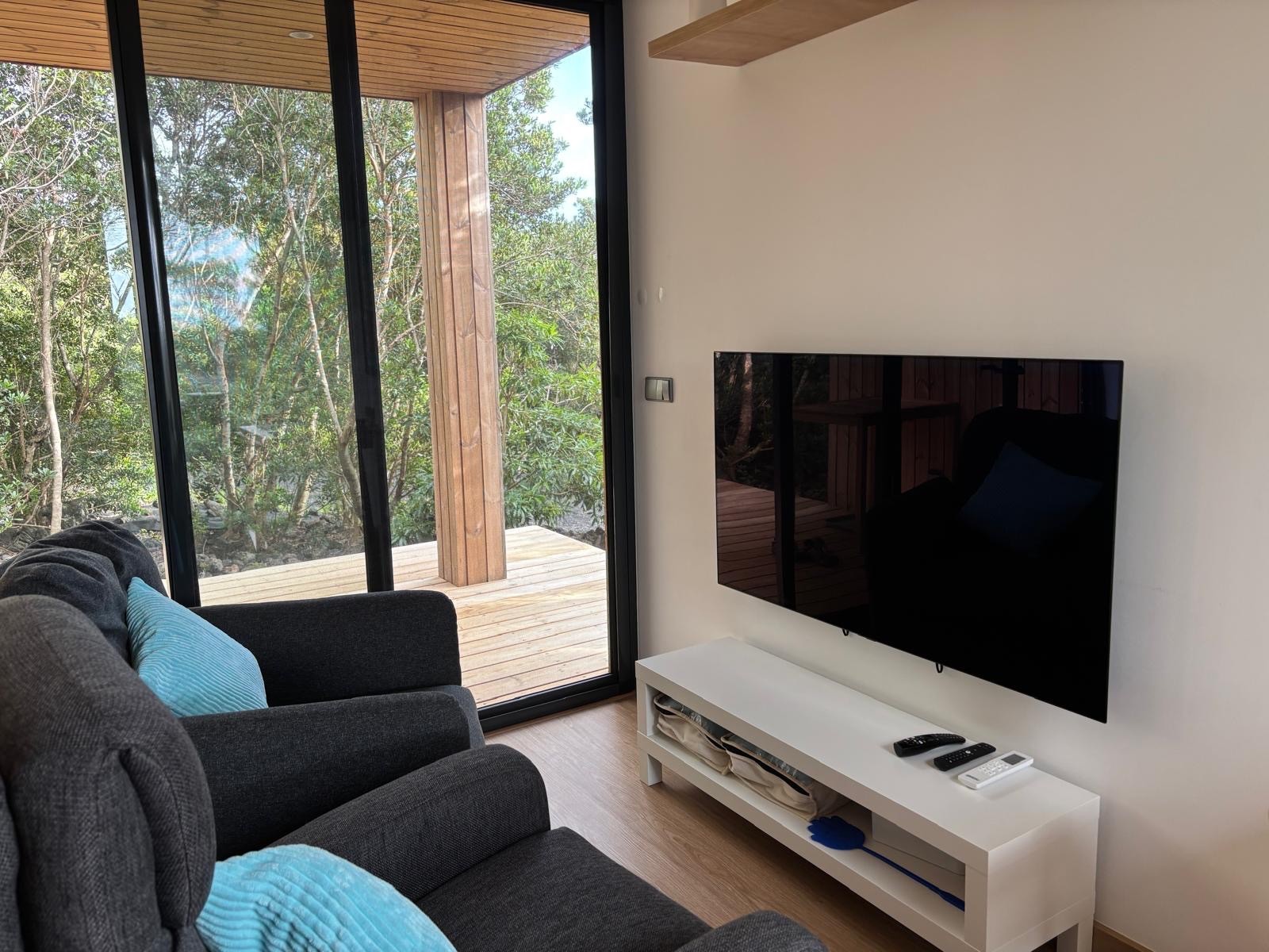 Interior view of the open living room and kitchen
