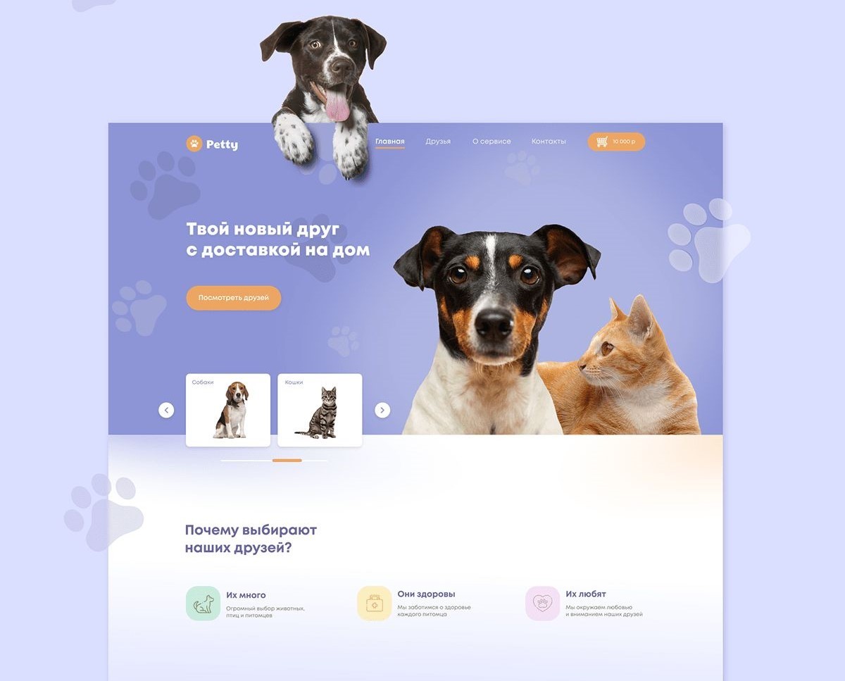 Pet Portraits ecommerce store for sale