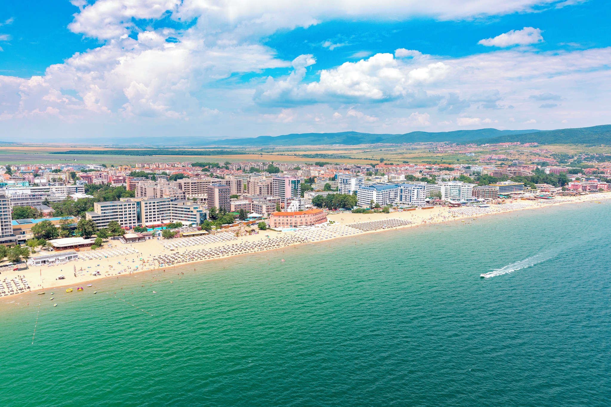 La Laguna coffee beans