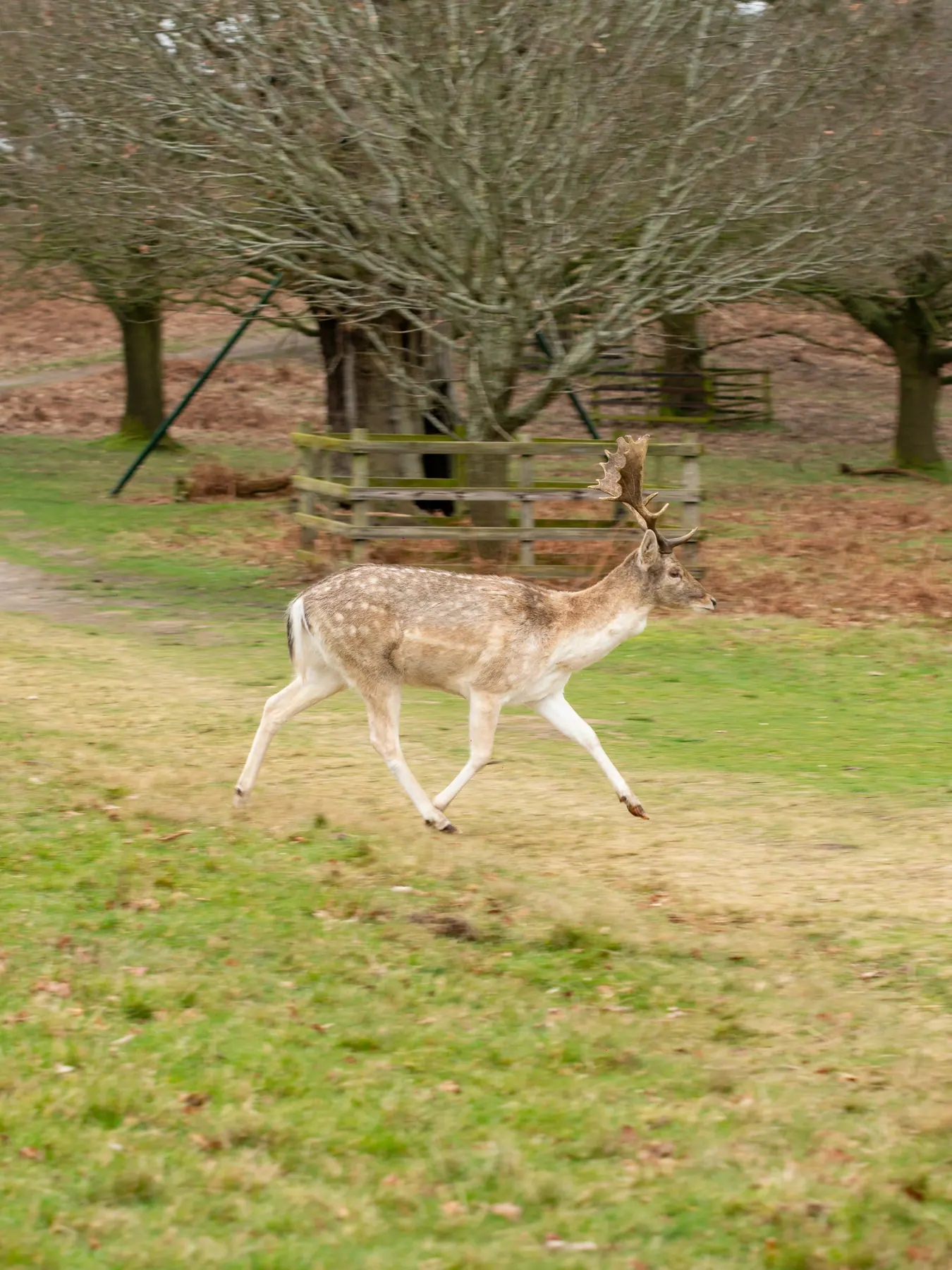Landscape photography around Leicestershire