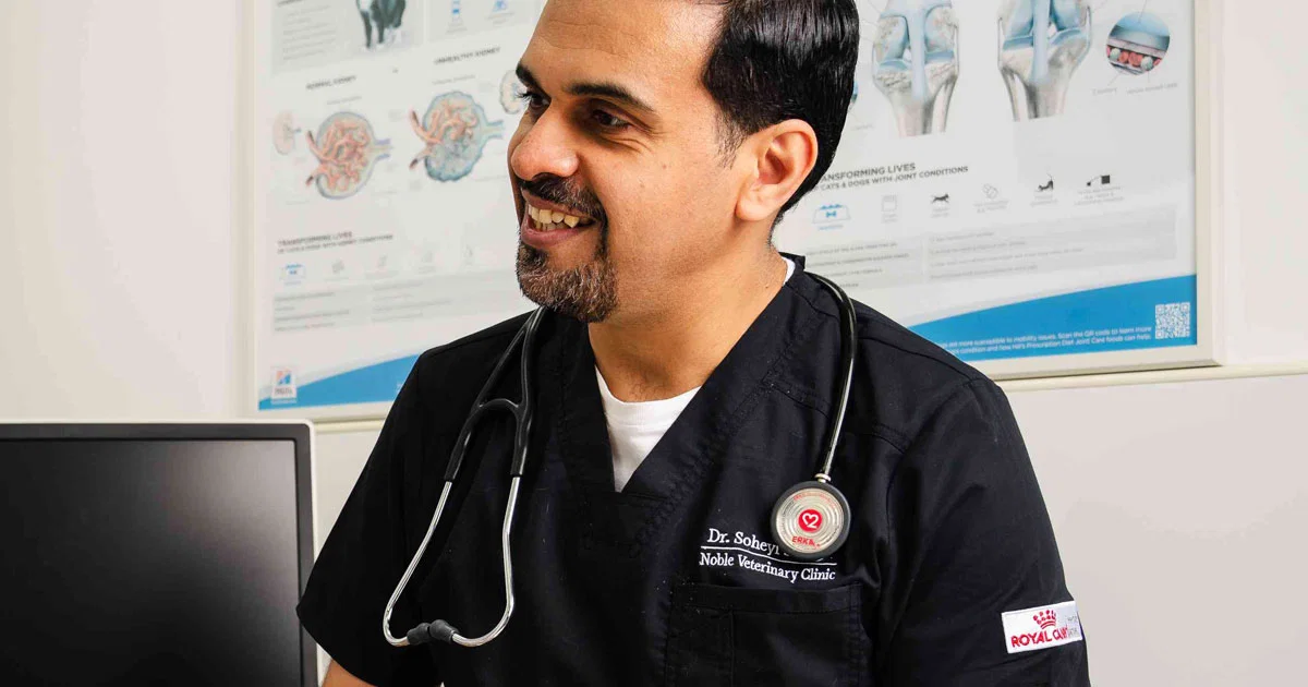Dr. Soheyl Simaei, dressed in Noble Veterinary Clinic attire, prepares to analyze test results and communicate them clearly to a concerned pet owner.