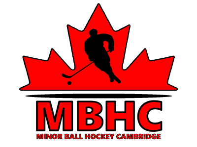 A TeamLinkt Sports League Partner Logo