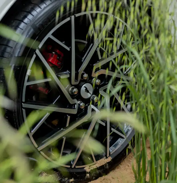 Detalle de llanta deportiva negra con pinza de freno roja entre vegetación para fotografía automotriz con enfoque natural.
