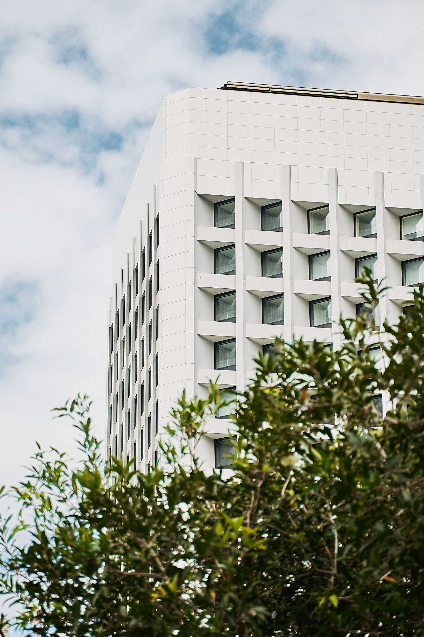 Documentary image of finished bowls while clay is drying.