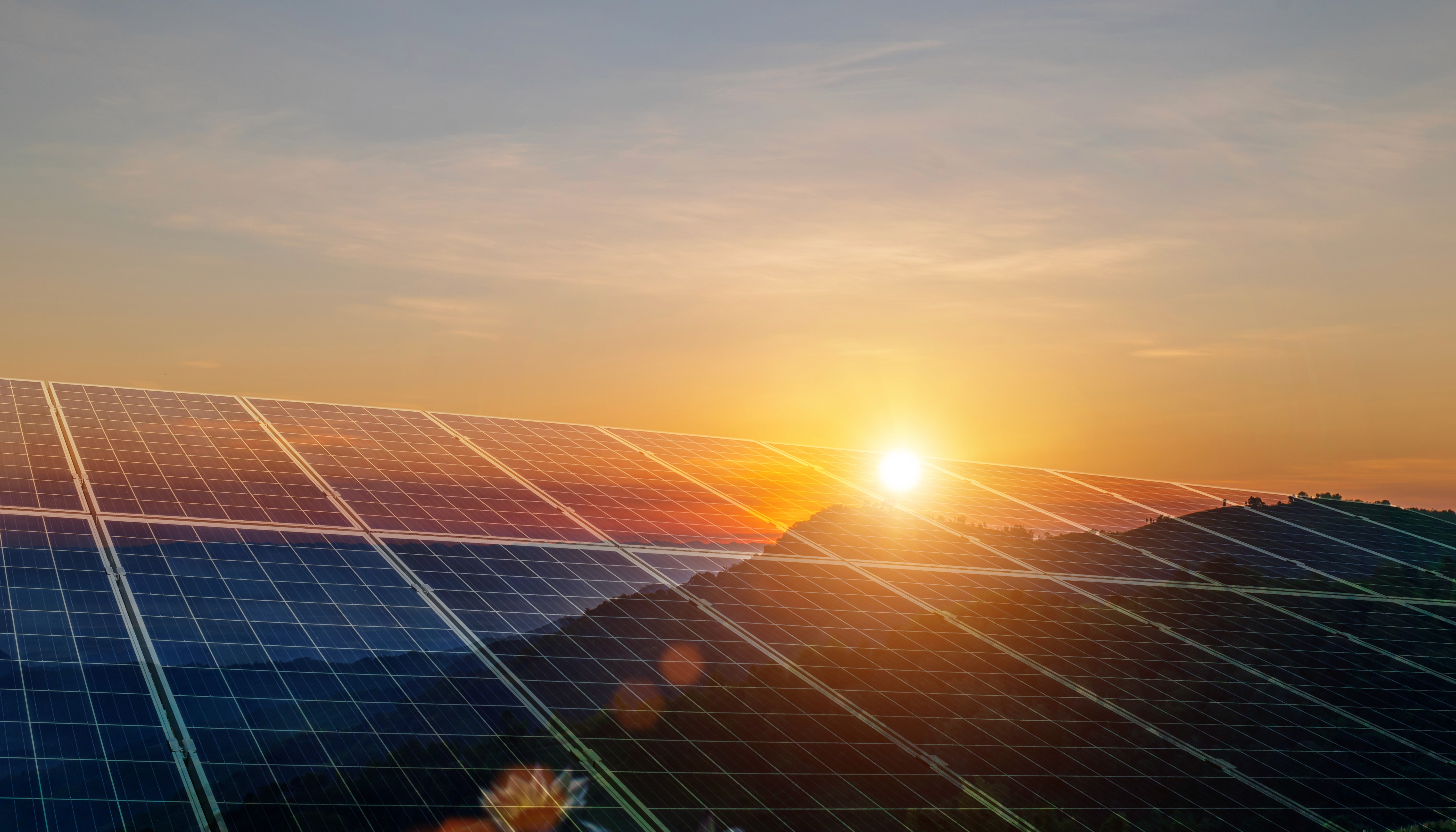 A large array of solar panels reflects a warm golden sunrise over a rural landscape, representing solar energy contract and renewable energy legal services at Chapman Zaragoza Law.