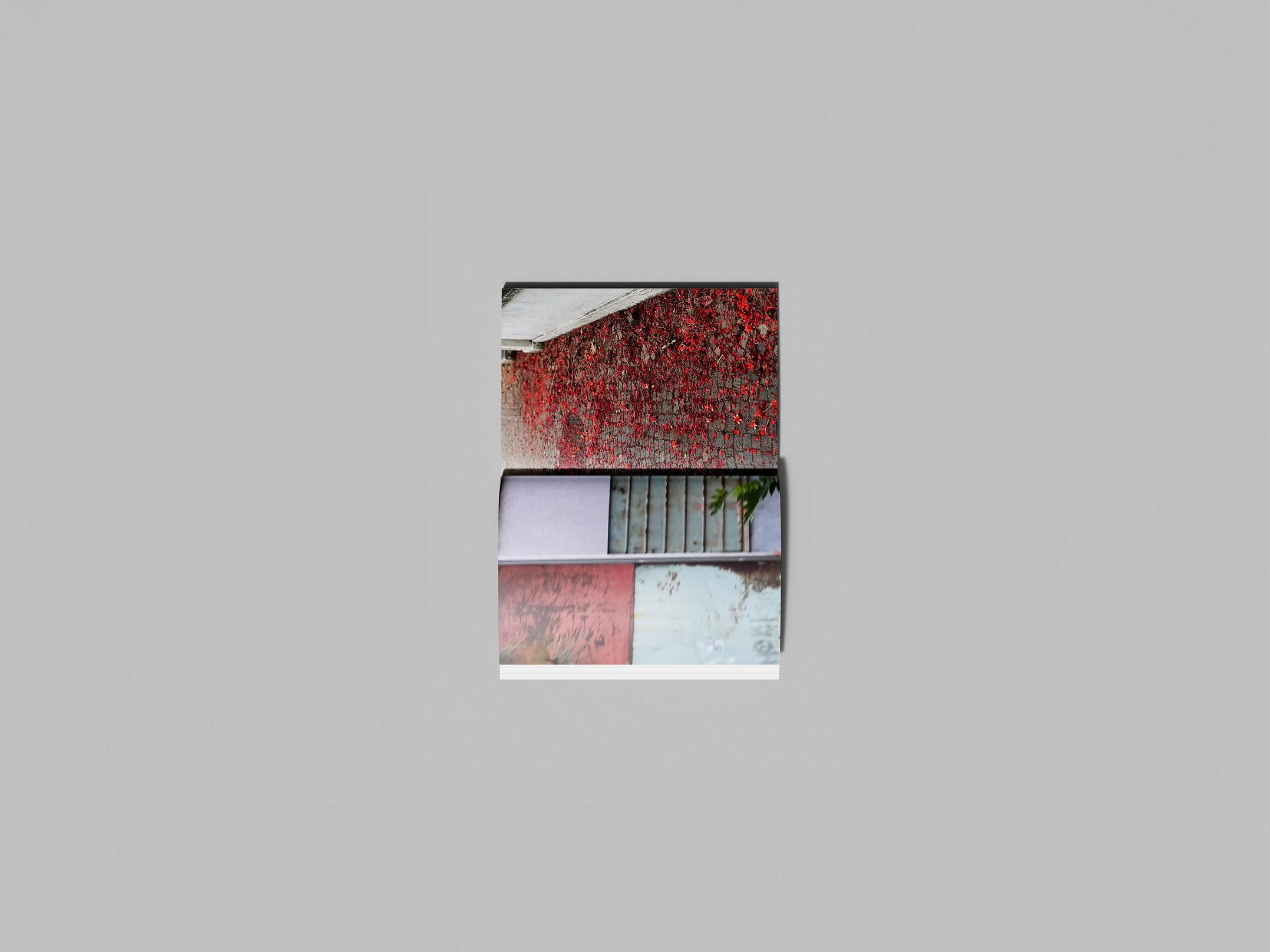 An open visual art book showcasing urban photography. The spread features two contrasting pages: one with a brick wall overgrown with red ivy, and another with soft-toned panels of worn architectural textures. Together, they explore themes of time, memory, and the poetry of overlooked city spaces.