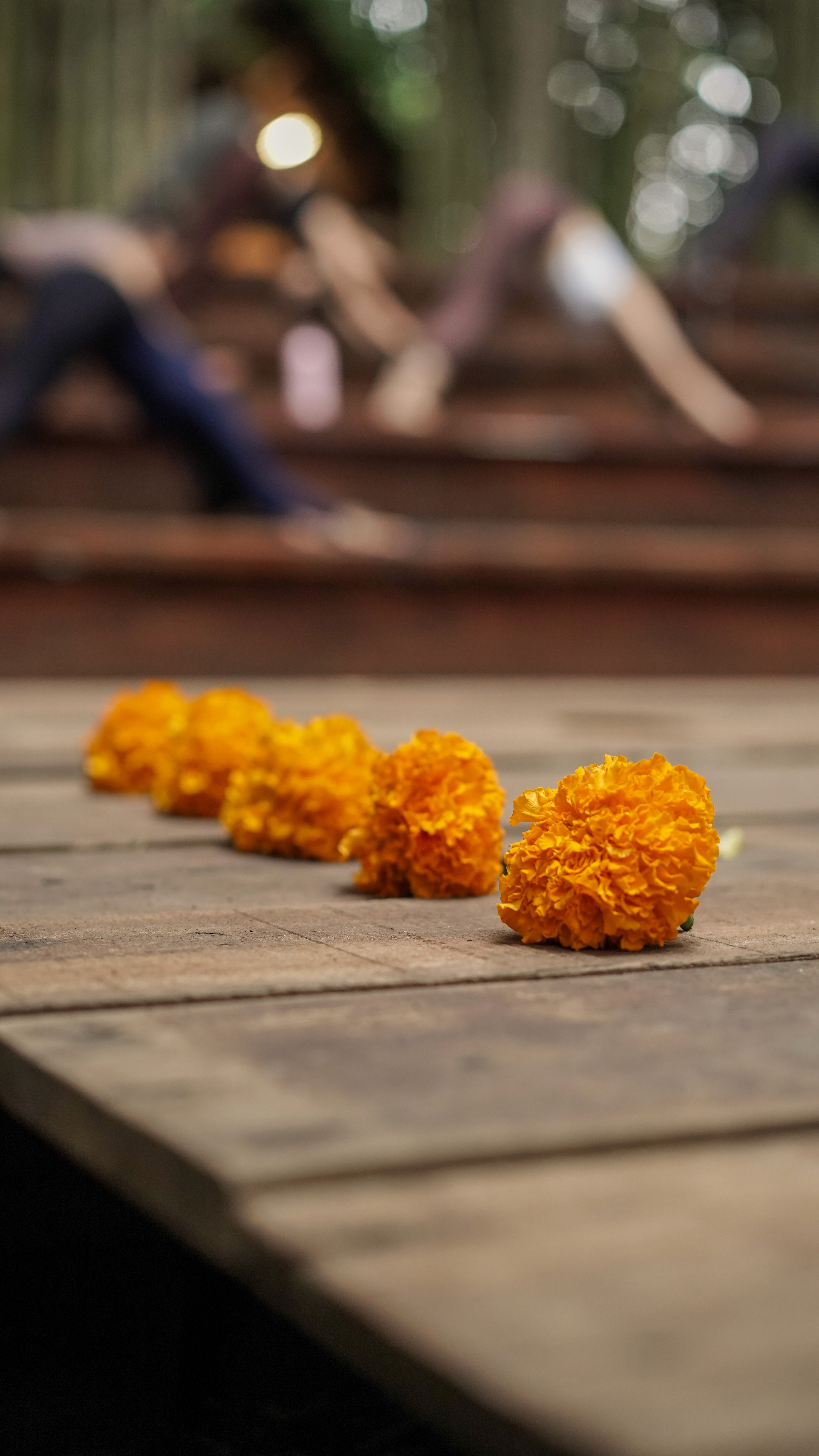 Awareness | Ruas Bambu Nusa (www.ruasbambunusa.com)