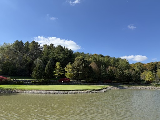 Country Property Images