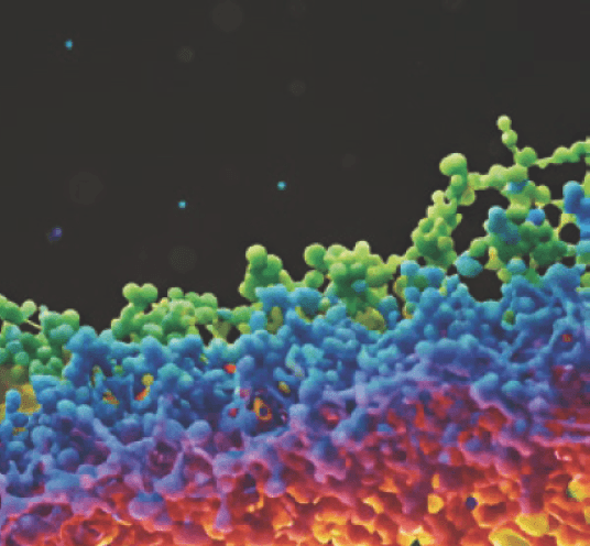 SDT, 에스디티, KREO, Qubesim