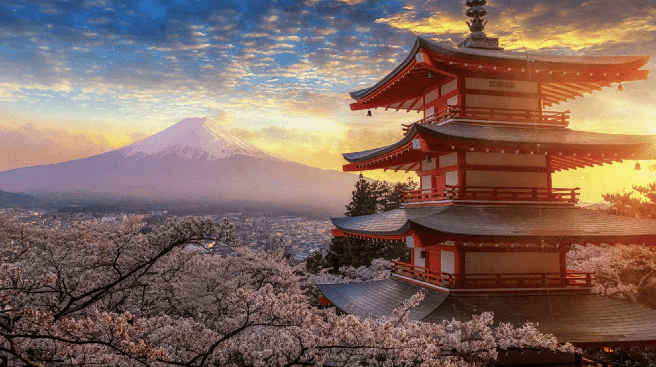 Dynamic picture of a cyclist riding downhill