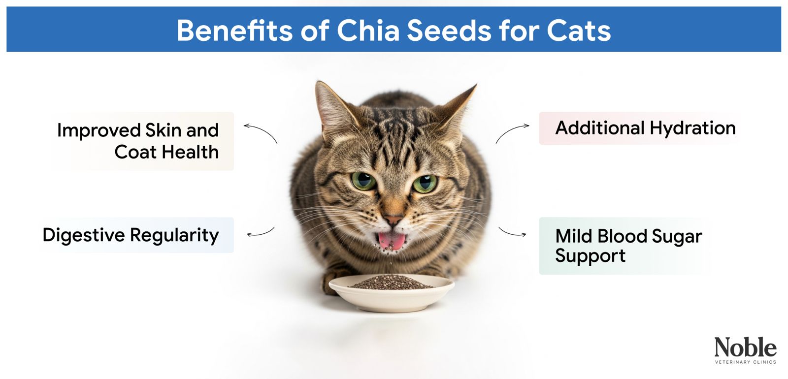 An image showing the benefits of chia seeds for cats.