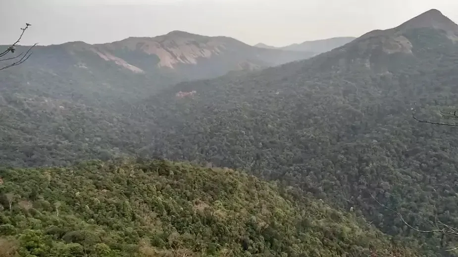 Bisle Reserve Forest.webp