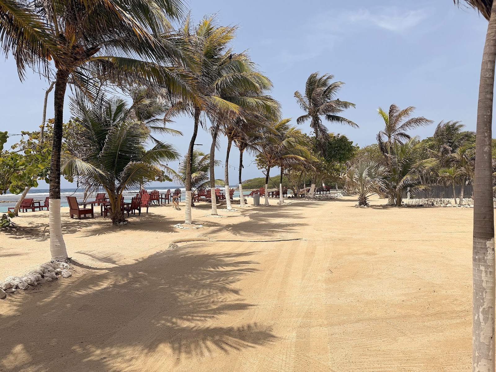 Red wooden chairs and tables under palm trees on a Roatán beach with the reef visible offshore