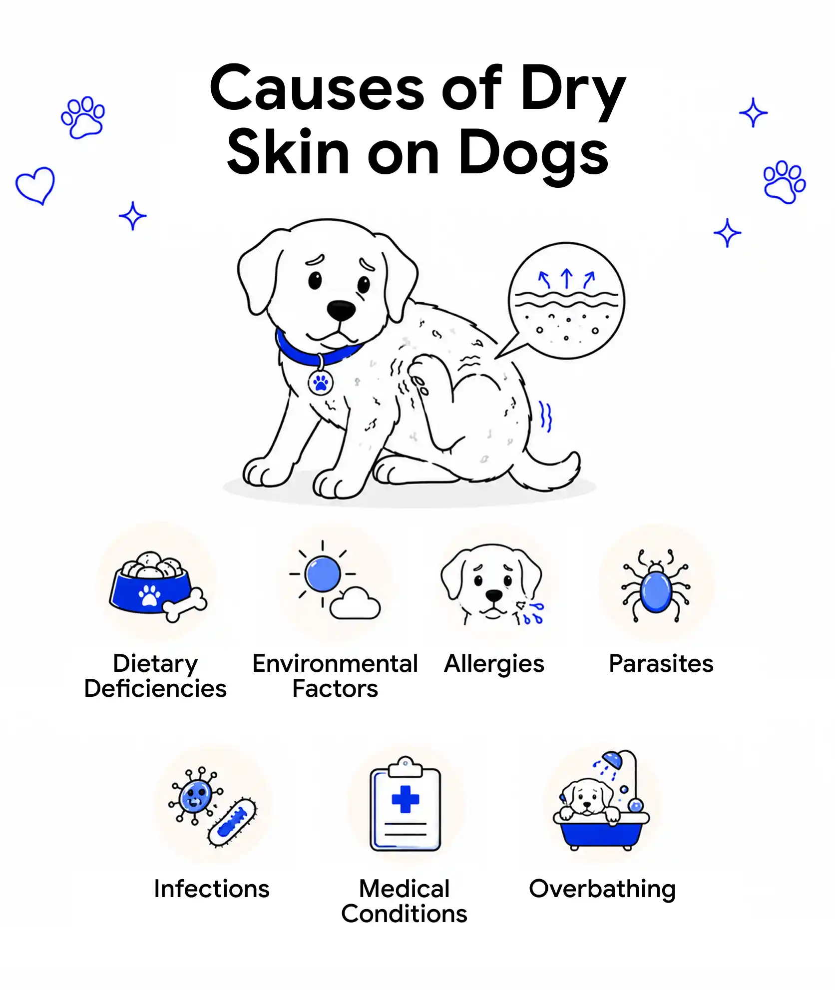 An infographic showing the causes of dry skin on dogs.