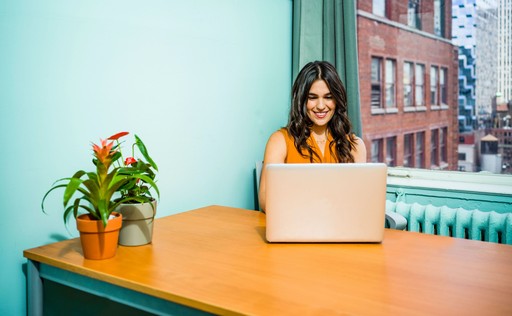 A person sits at a wooden desk working on a laptop, with a potted plant and a bright window view.