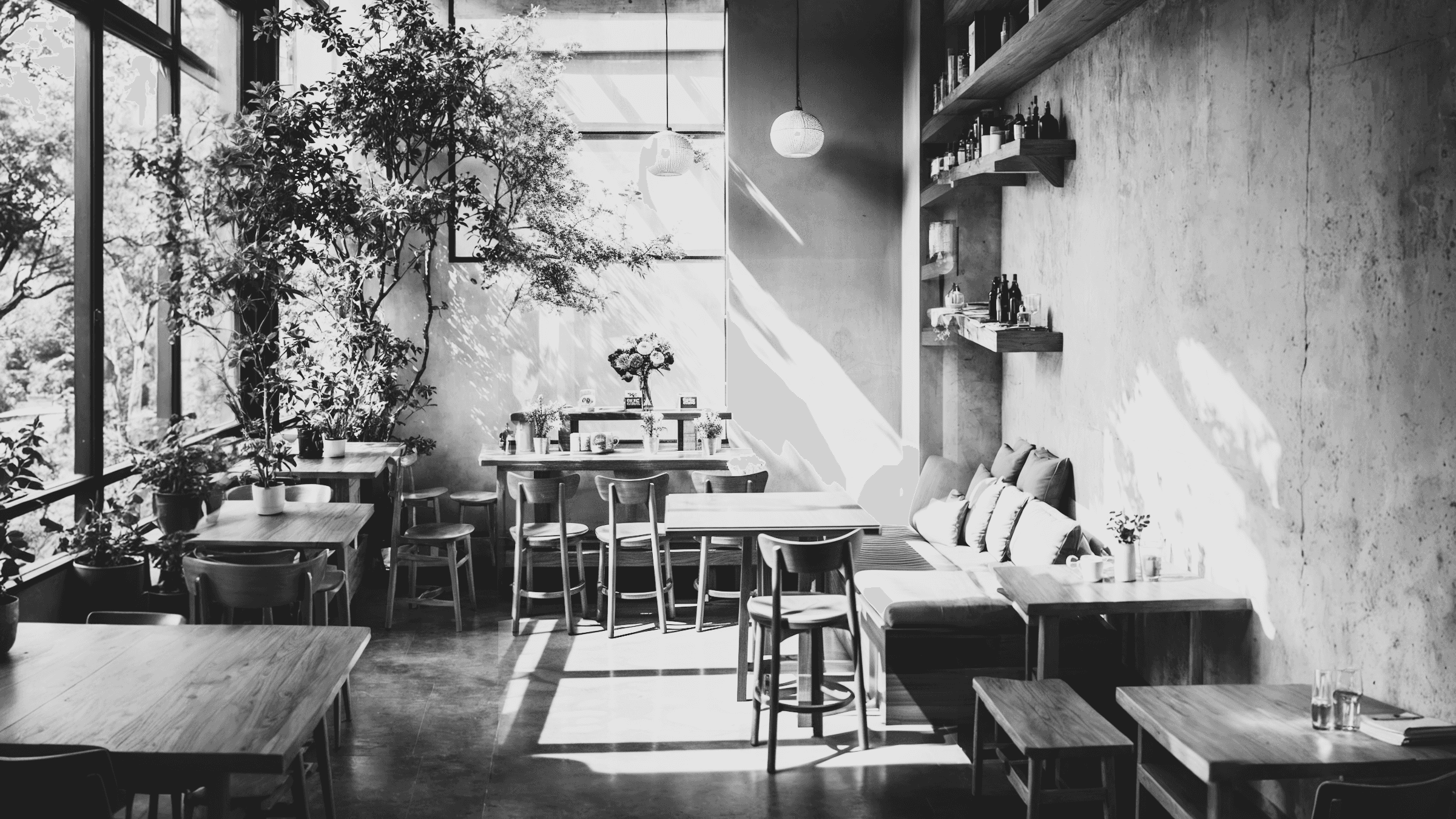 A black and white photo of a modern interior featuring large windows, plants, and a sleek staircase leading to an upper level.