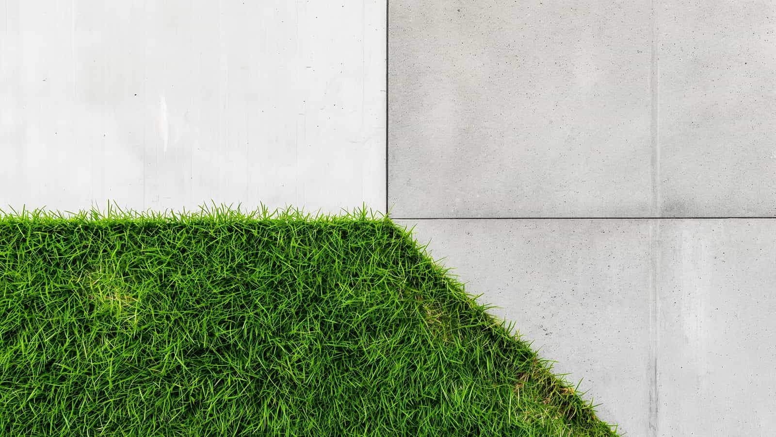 Sharp lawn edge against concrete surface, clean landscaping transition