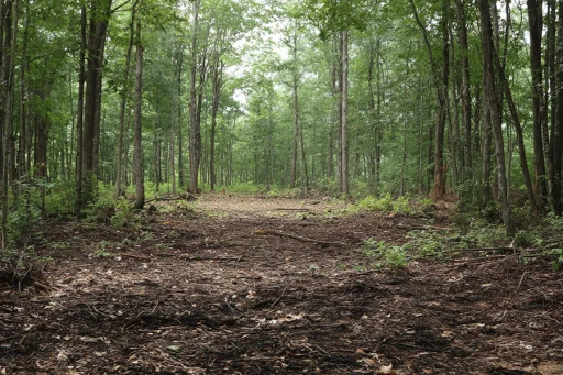 person sitting on grass and using phone