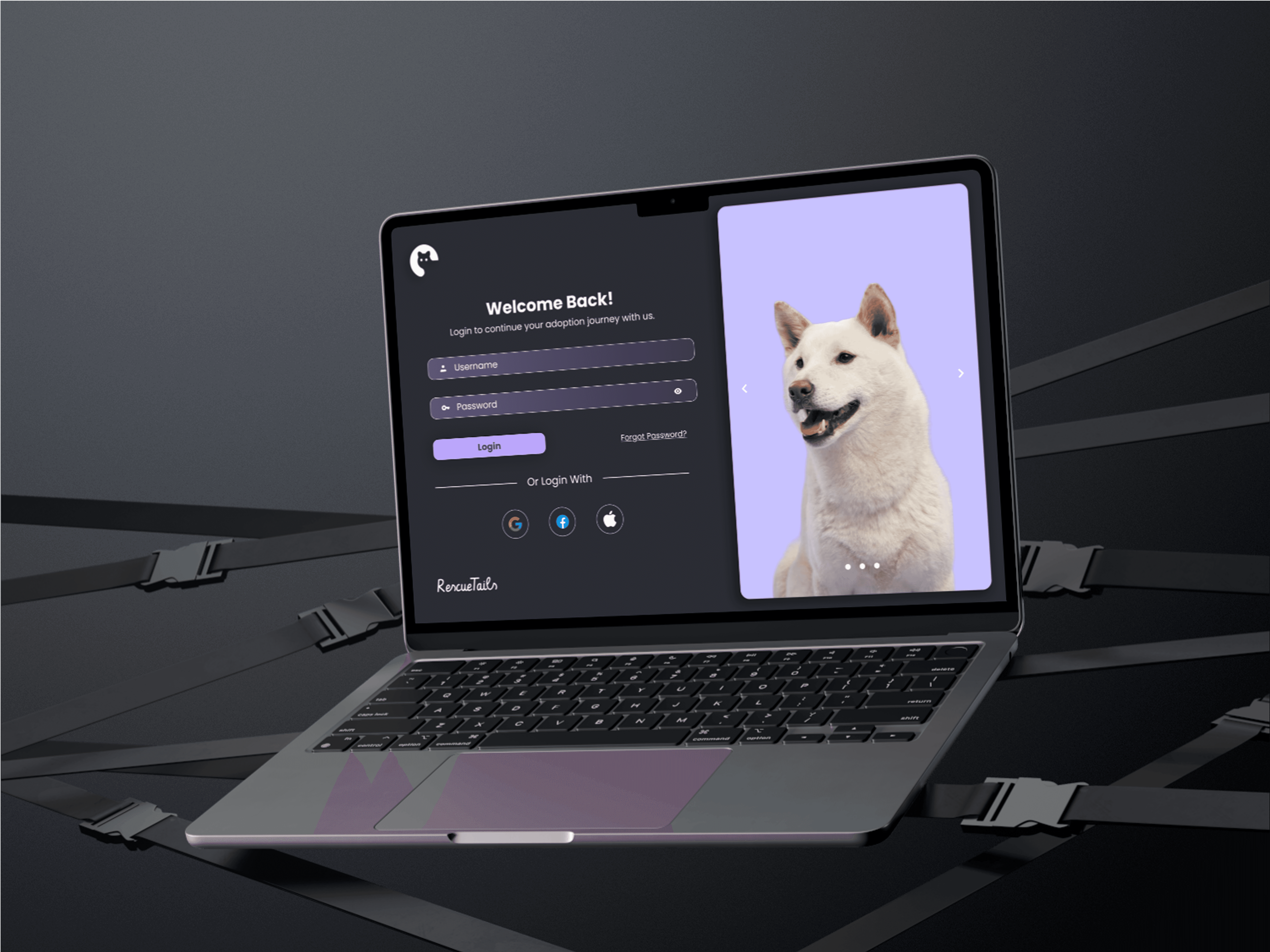 Portfolio project image