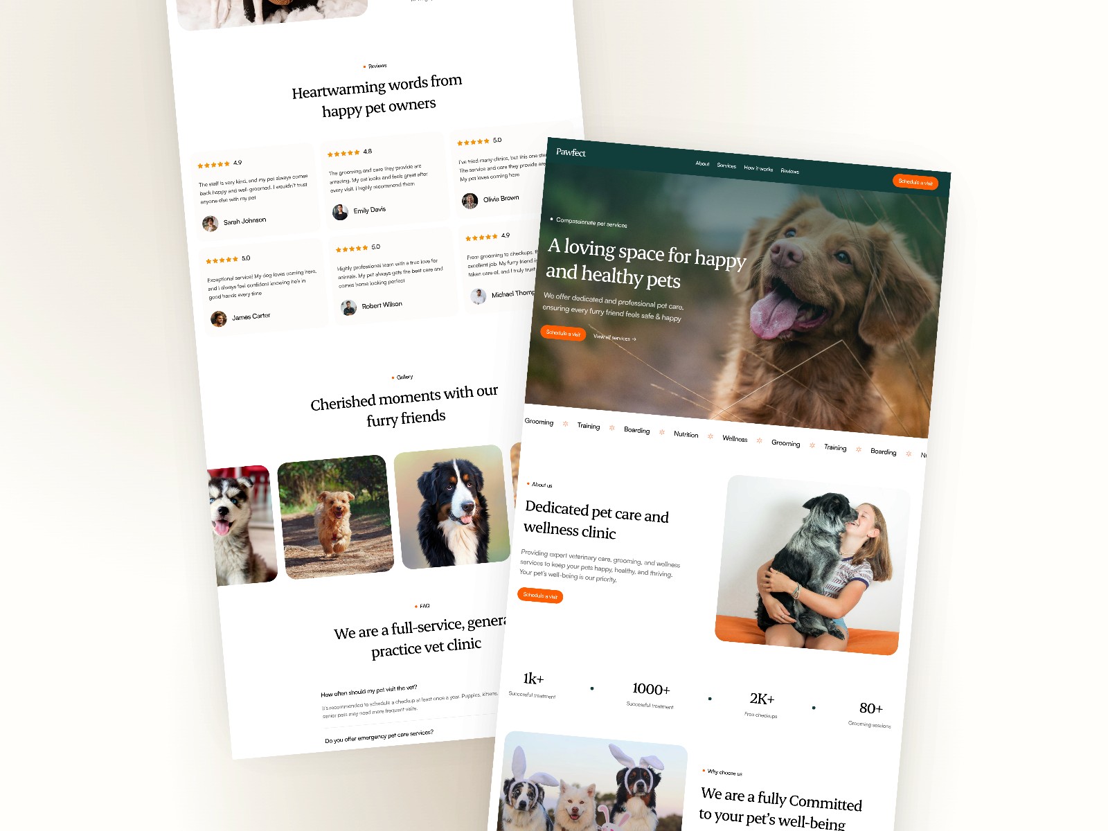 Pawfect — 医疗健康网站设计灵感