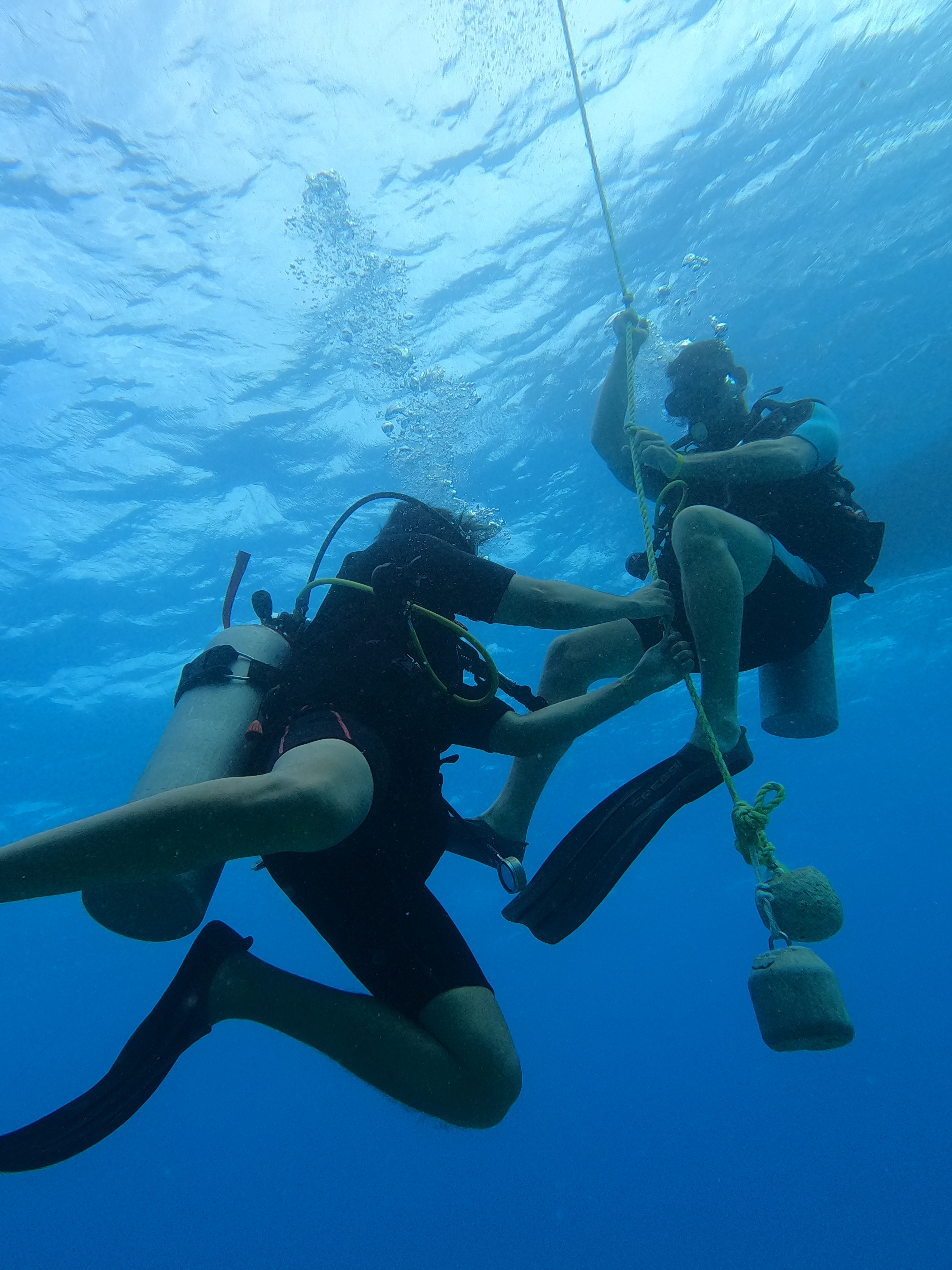 Coach explaining stuff to an athlete