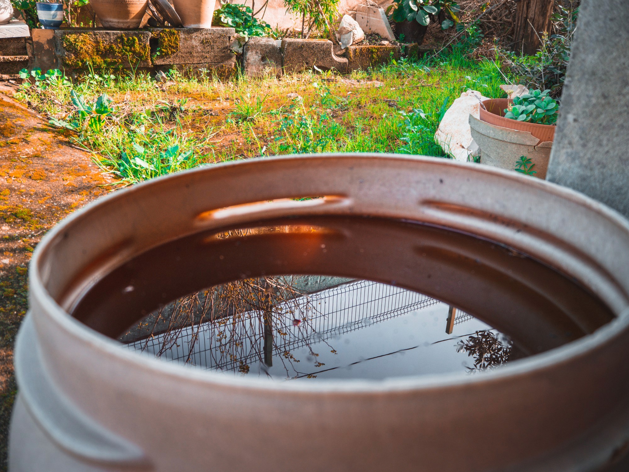 Use barrels to harvest rainwater for gardening and outdoor cleaning.