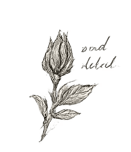     Jewellery craftsmanship sketch
