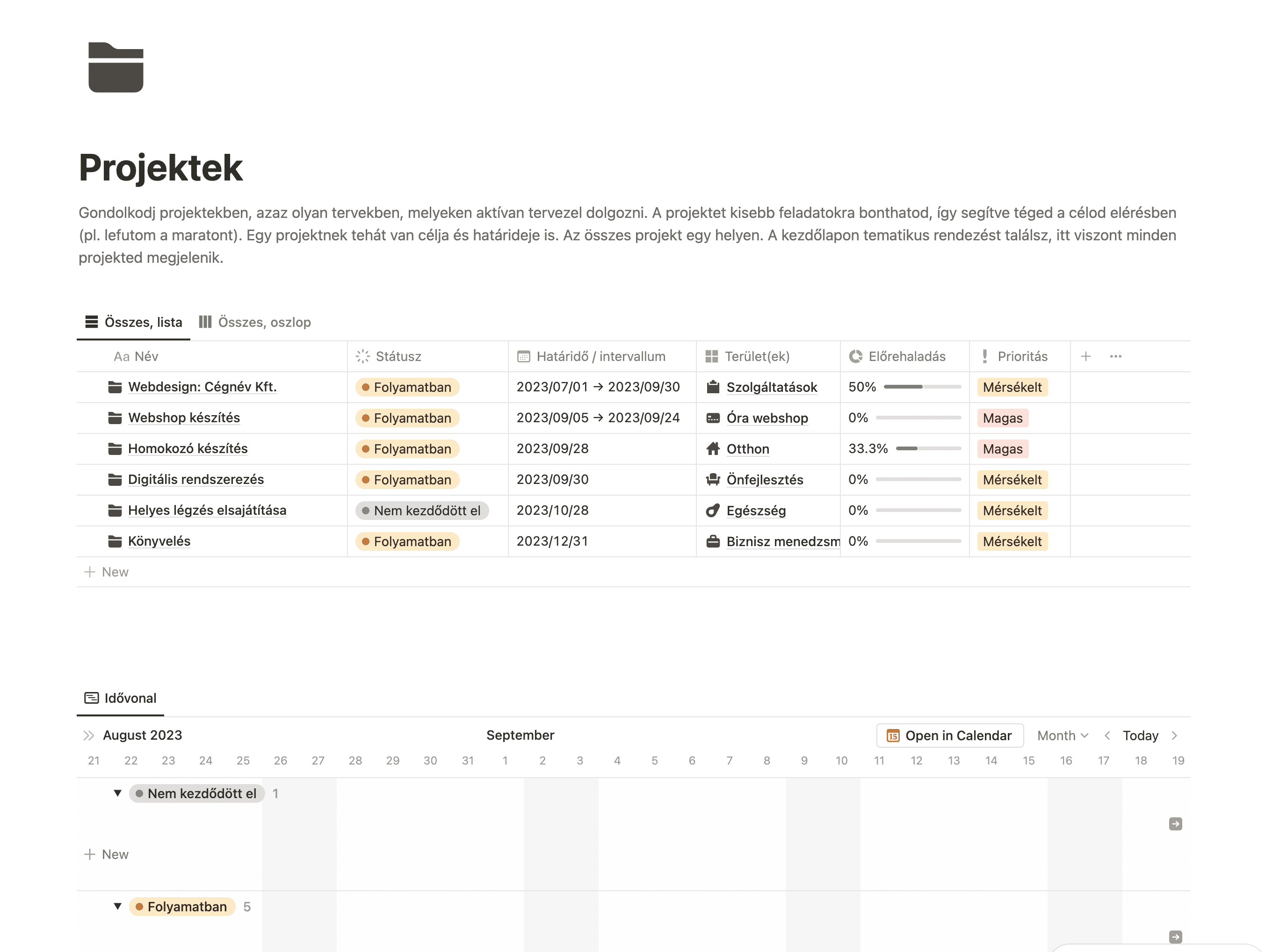 Projektek a Másodpilóta, Notion sablonban.