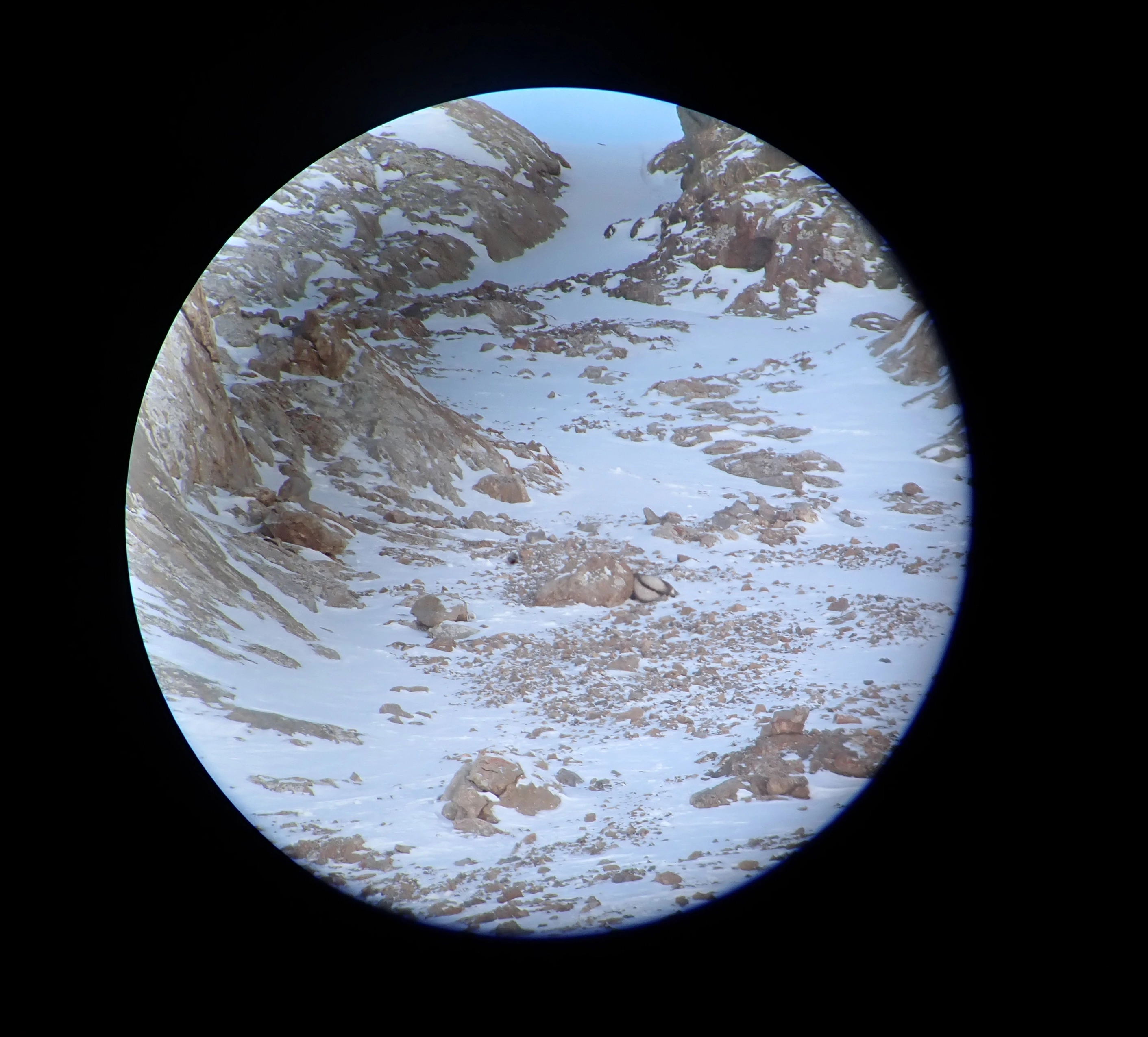 Gallery image 10