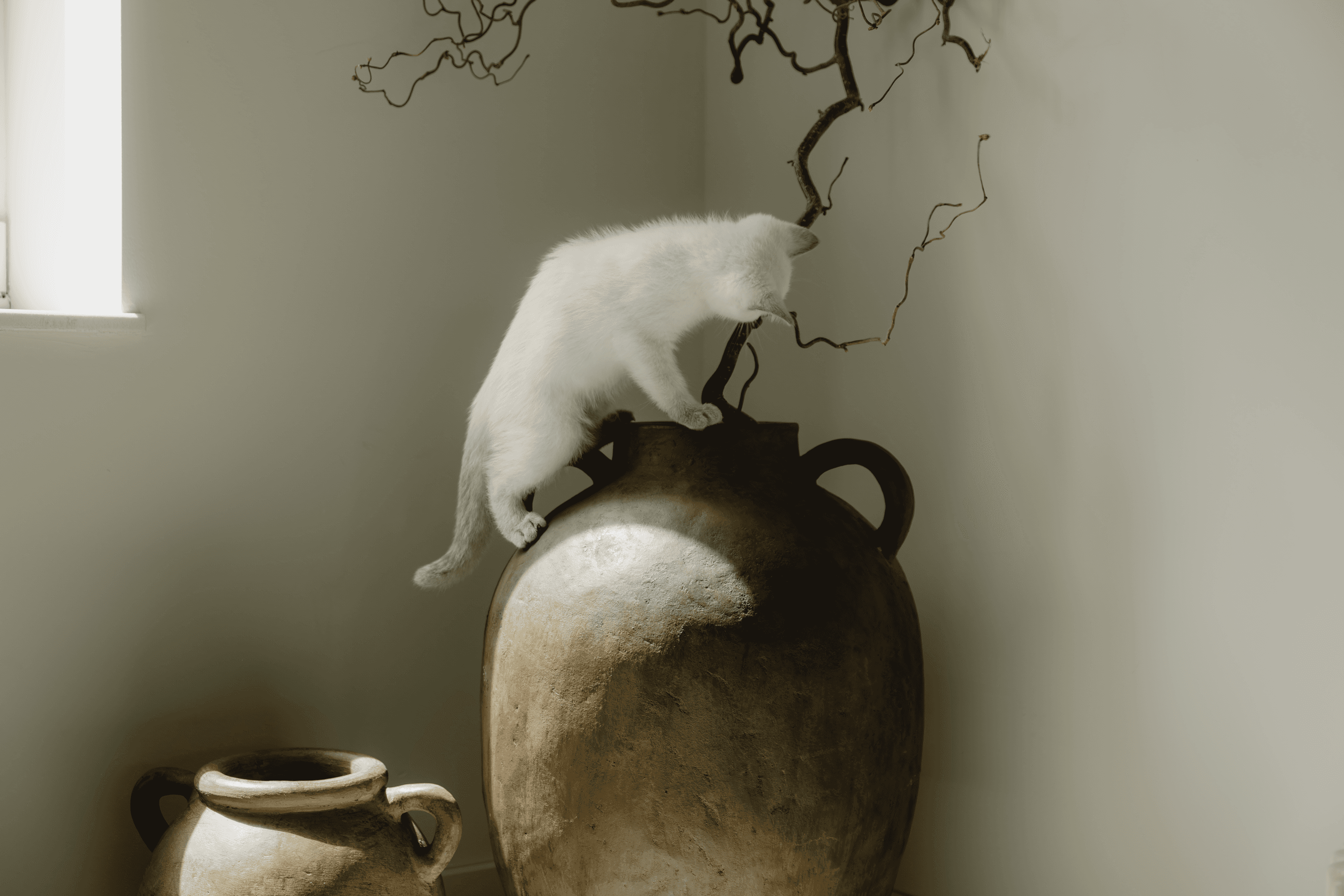 A woman with a backpack stands on the road