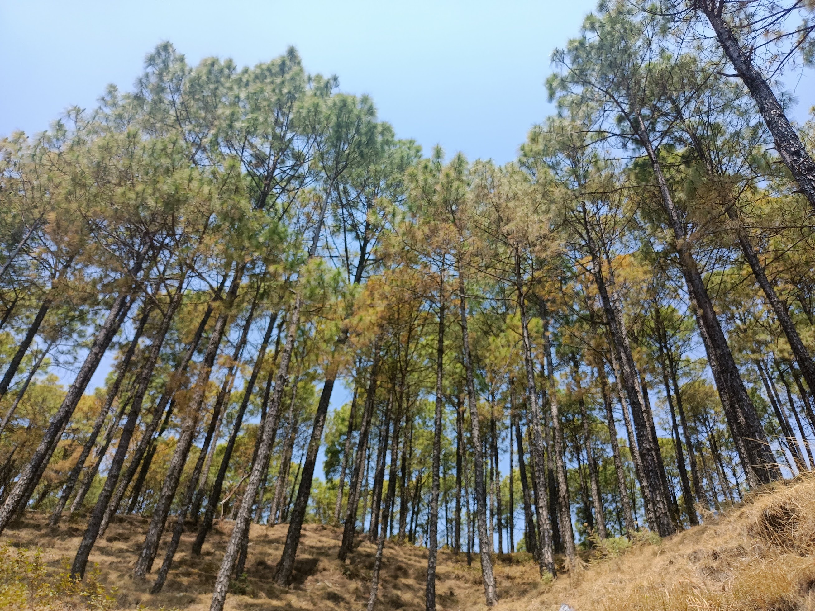Pink cloud floating on top of water