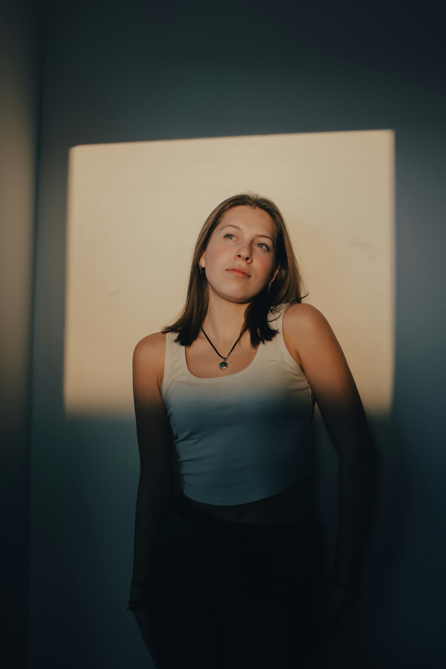The sitter against a plain wall in north light