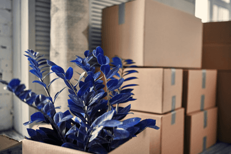 Verhuisbedrijf Blauw