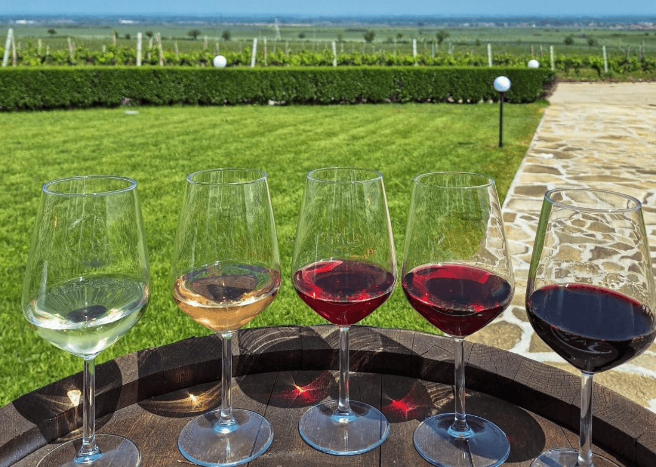 Wine Tasting in the Thracian Valley