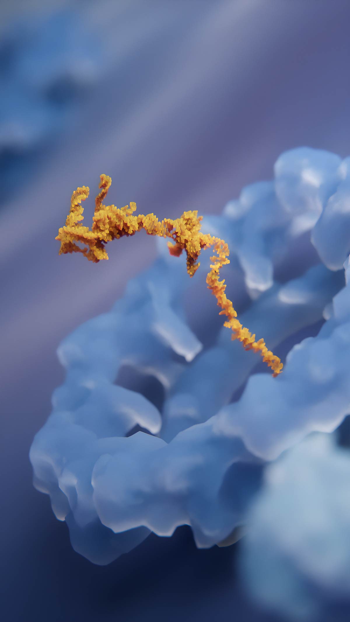 3D visualization of an mRNA molecule passing through the nuclear pore