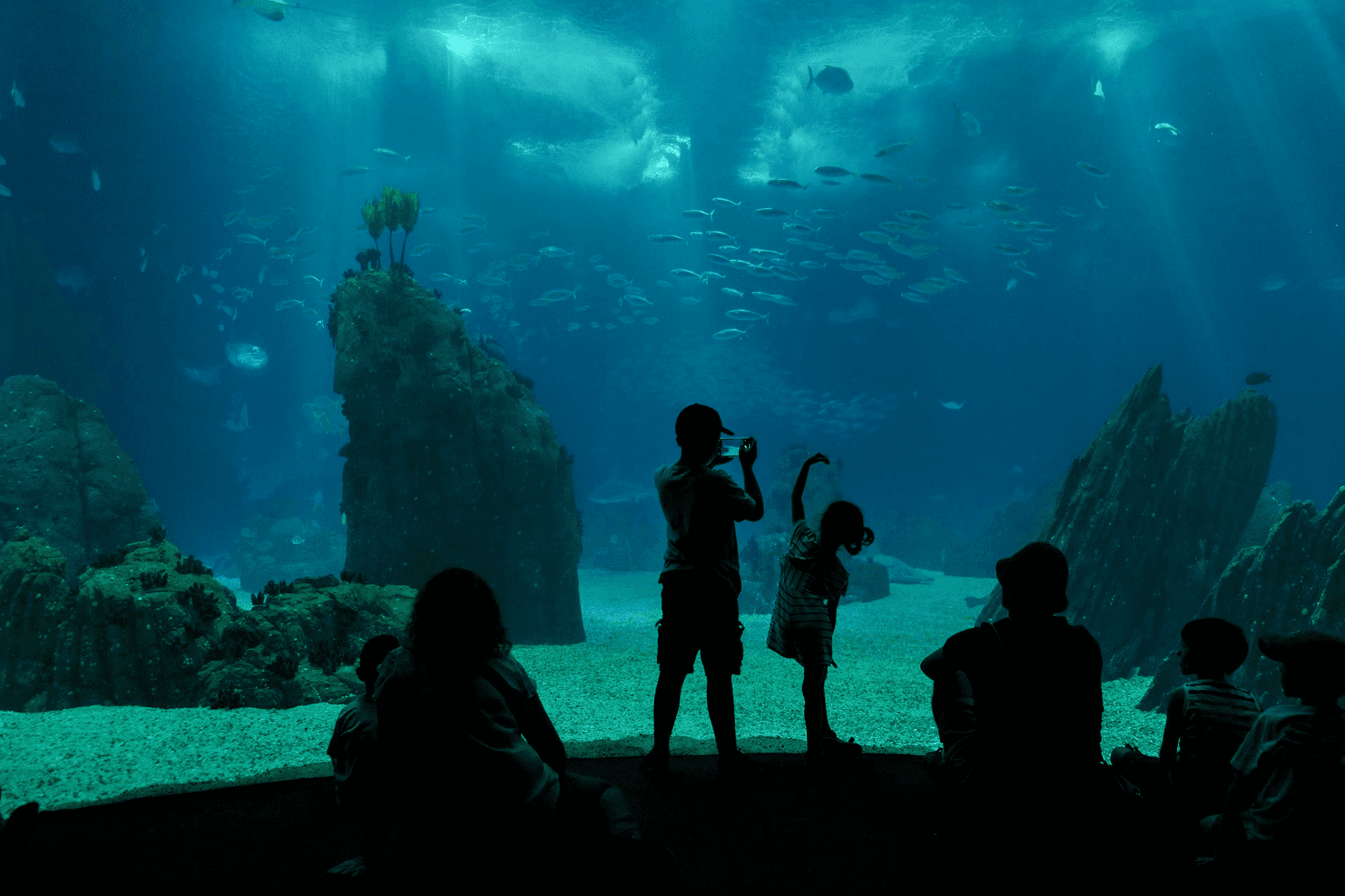 Oceanário de Lisboa