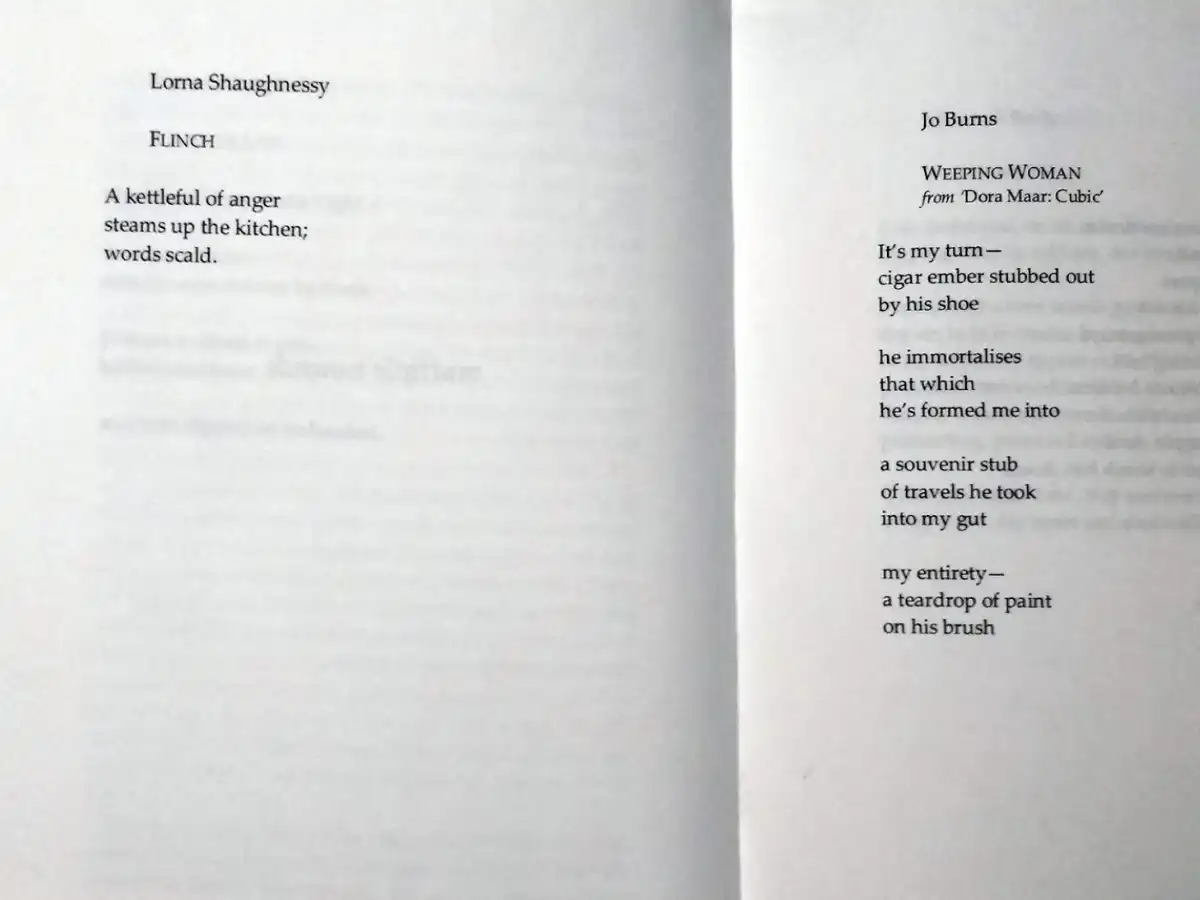 Her Other Language Northern Irish Women Writers Address Domestic Violence and Abuse Inner Page