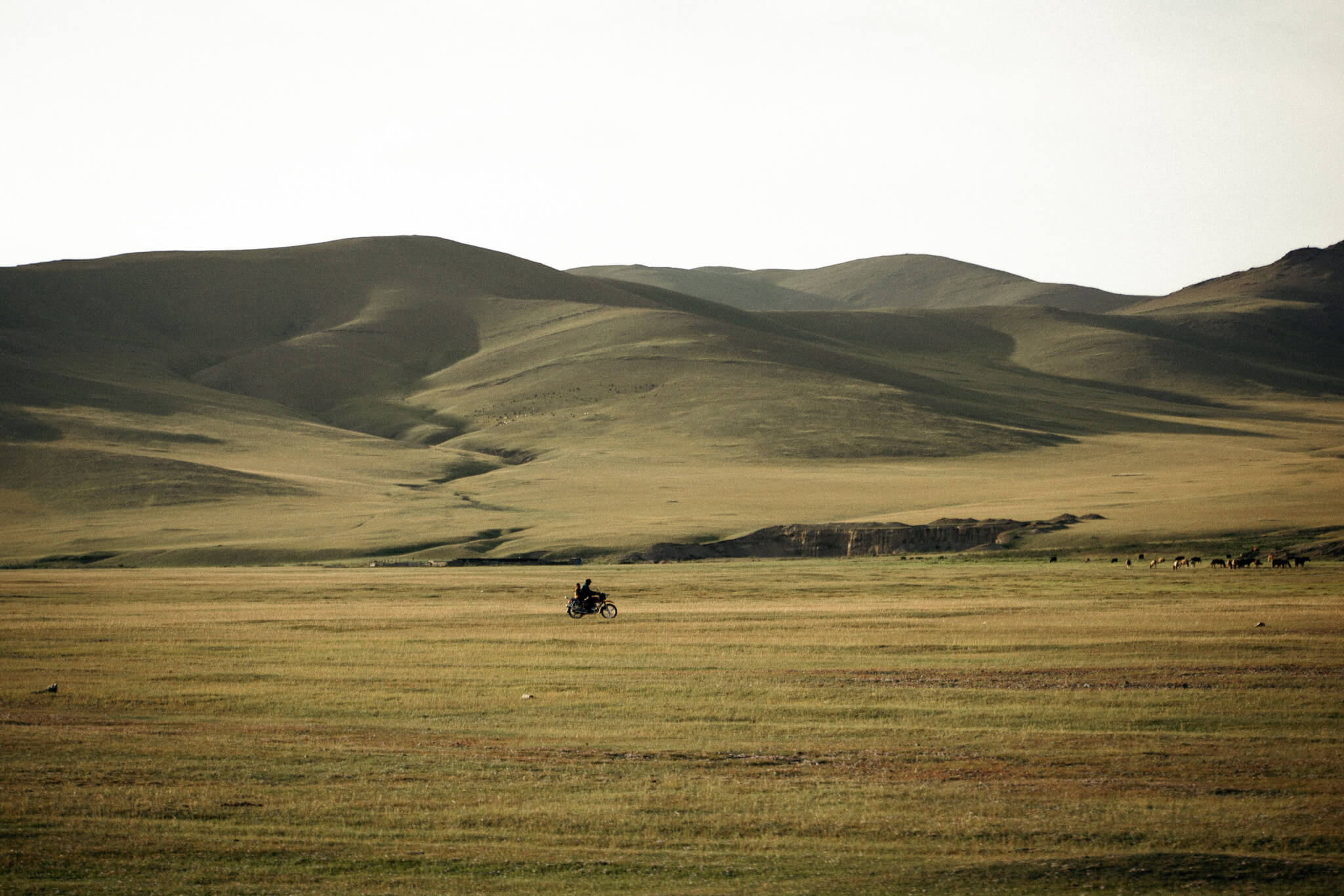 Mongolie - Photographie Cover